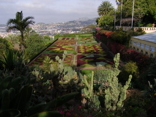 Funchal - botanischer Garten